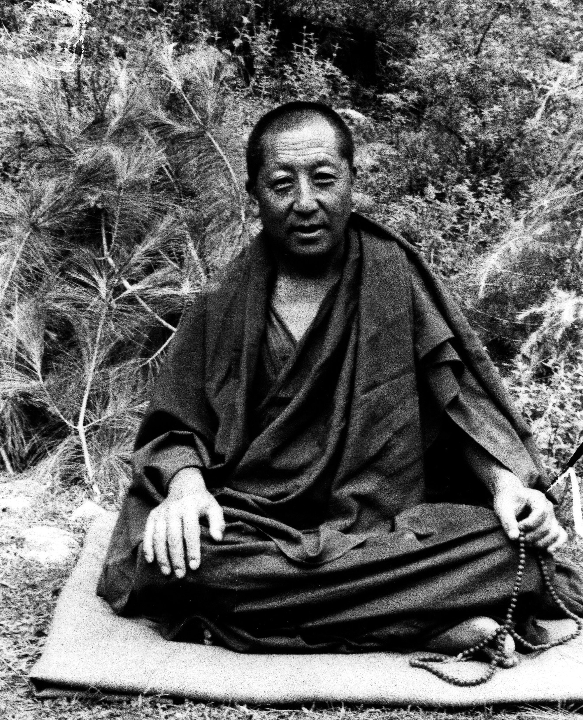 Lopon Sangye Tenzin Rinpoche | Ligmincha