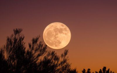Free Yearlong CyberSangha Program with Full Moon Practice and More