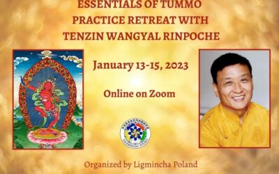 Fundamentos de la Meditación Tummo con Tenzin Wangyal Rinpoche