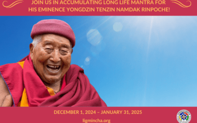 Join us in accumulating Long Life Mantra for H.E. Yongdzin Rinpoche