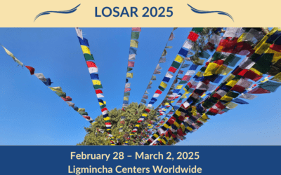 LOSAR 2025