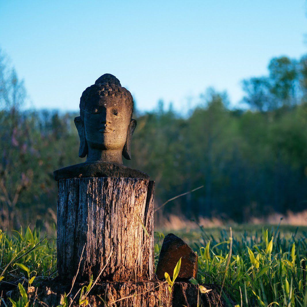 Donate_Statue