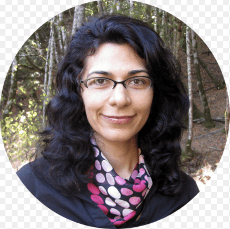 Dr Nikki Mirghafori