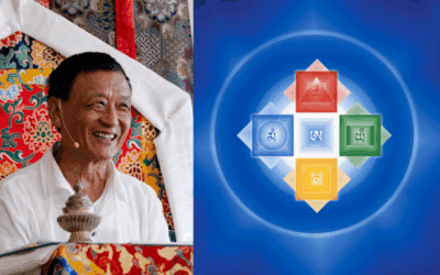 Healing the World, Healing Ourselves: A Five Elements Training Program with Tenzin Wangyal Rinpoche