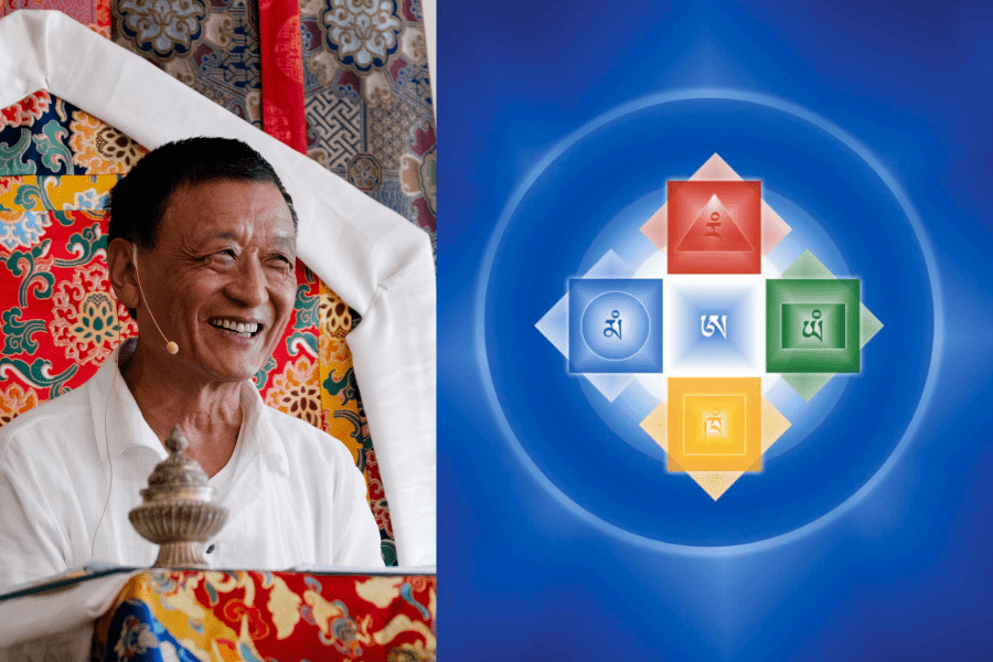 Healing the World, Healing Ourselves: A Five Elements Training Program with Tenzin Wangyal Rinpoche