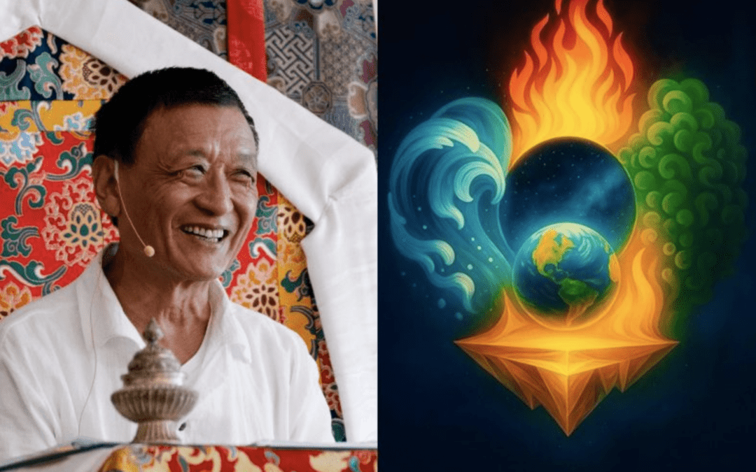 TRAINING—Five Elements Certification Program